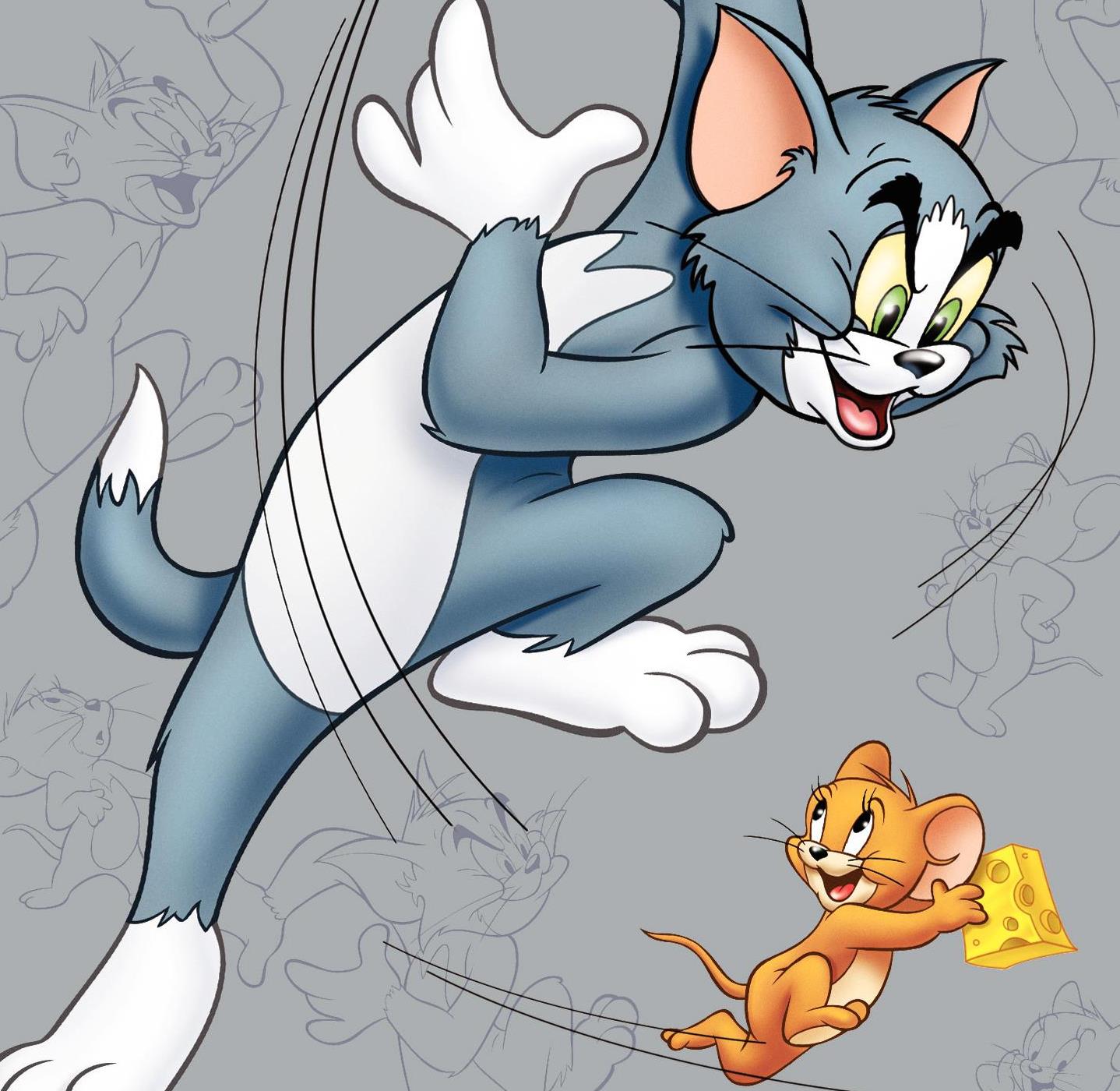 Most Relevant Video Results tom and jerry